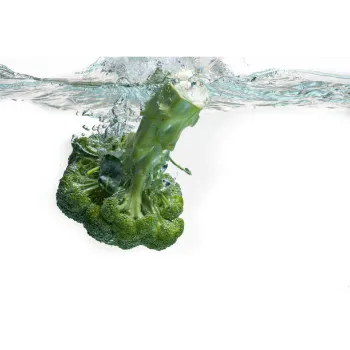 Frozen Baroccoli  (36)-7145078-90689.webp